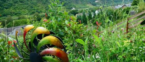 Apartment | Bathroom
