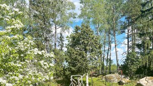 Vehreä puutarha, jossa on monenlaisia puita ja leikkikeinu.