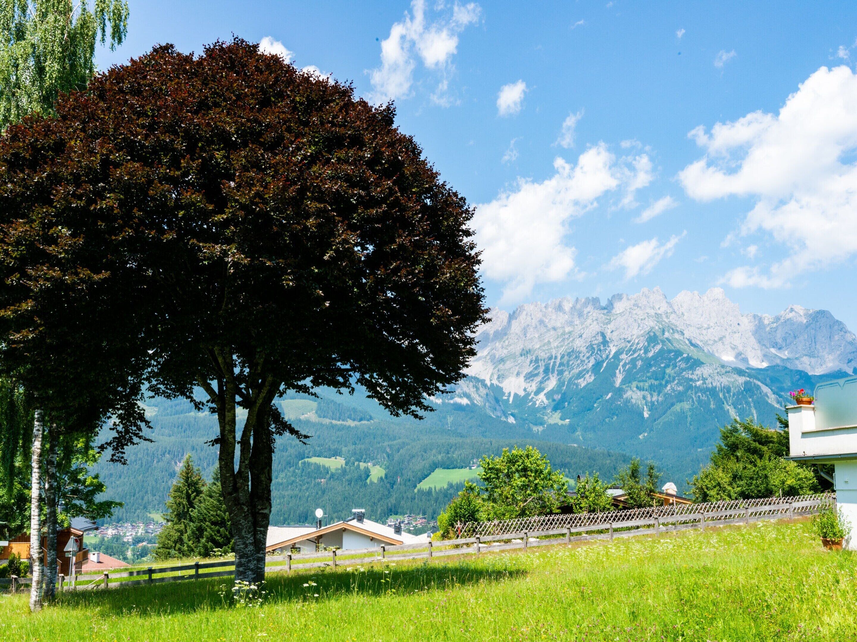 A tree-lined path leading to a building with a view of mountains.
