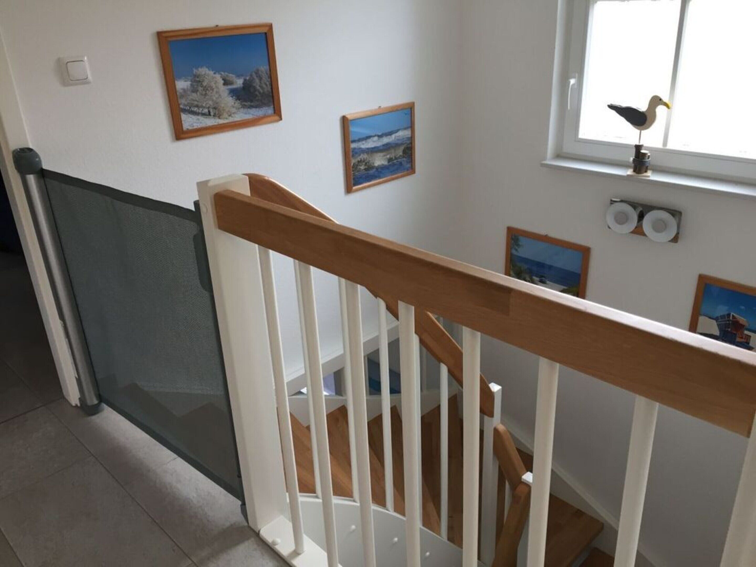 A staircase with white railings and wooden steps, leading to a landing with a window and a seagull decoration.