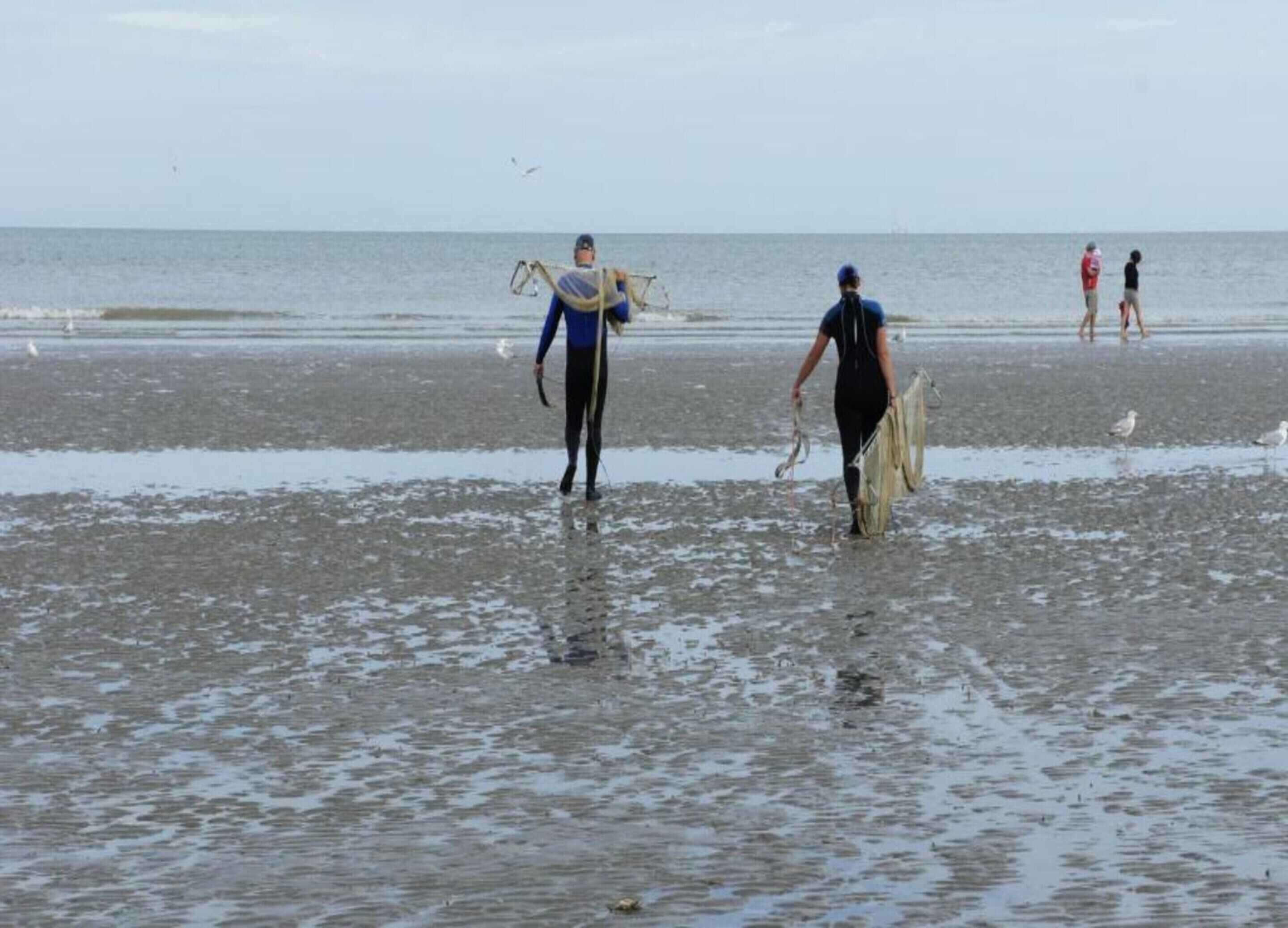 A beach scene with people walking and standing.