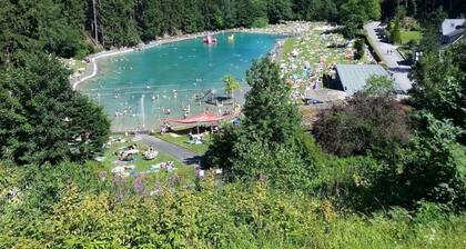 Chalet Brilon Modern Retreat