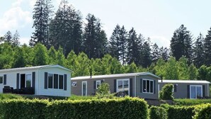 A row of mobile homes with a grassy field and trees in the background. - Chalet Brilon Modern Retreat (Brilon)