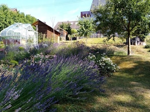 Exterior - Holiday Apartment Lautertalblick (Katzweiler)