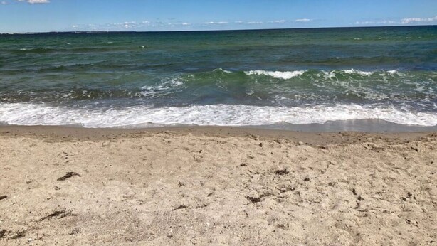 A beach with a sandy shore and ocean waves. - Holiday Apartment Seega (Timmendorfer Strand)