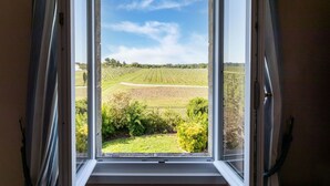 Vista a través de una ventana de un paisaje de viñedos.