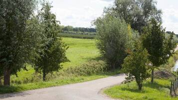 Une route de campagne sinueuse traverse un paysage verdoyant, bordé d’arbres des deux côtés.