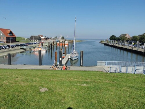 North Sea Oasis in the Albatross