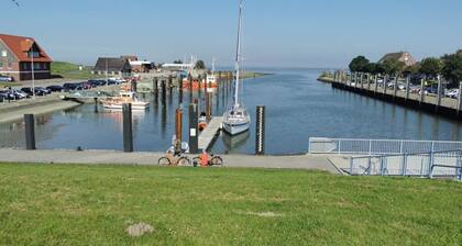 North Sea Oasis in the Albatross