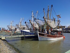 Marina - North Sea Oasis in the Albatross (Butjadingen)