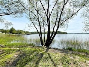 Vista di un lago, con un albero in primo piano e un molo sullo sfondo.