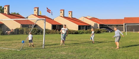 Un champ verdoyant avec un but de football, des bâtiments aux toits rouges et des drapeaux en arrière-plan.