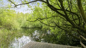 A wooden dock extending over a calm river surrounded by lush greenery and trees.
