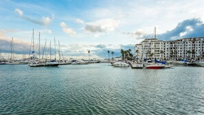 A marina with multiple boats docked, a building with balconies, and palm trees in the background.