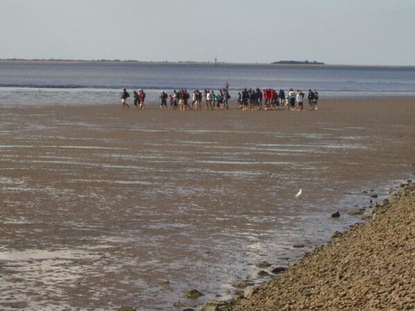 Beach - Grode in Haus Halligblick (Dagebuell)