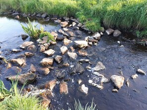 A stream with rocks and grass.