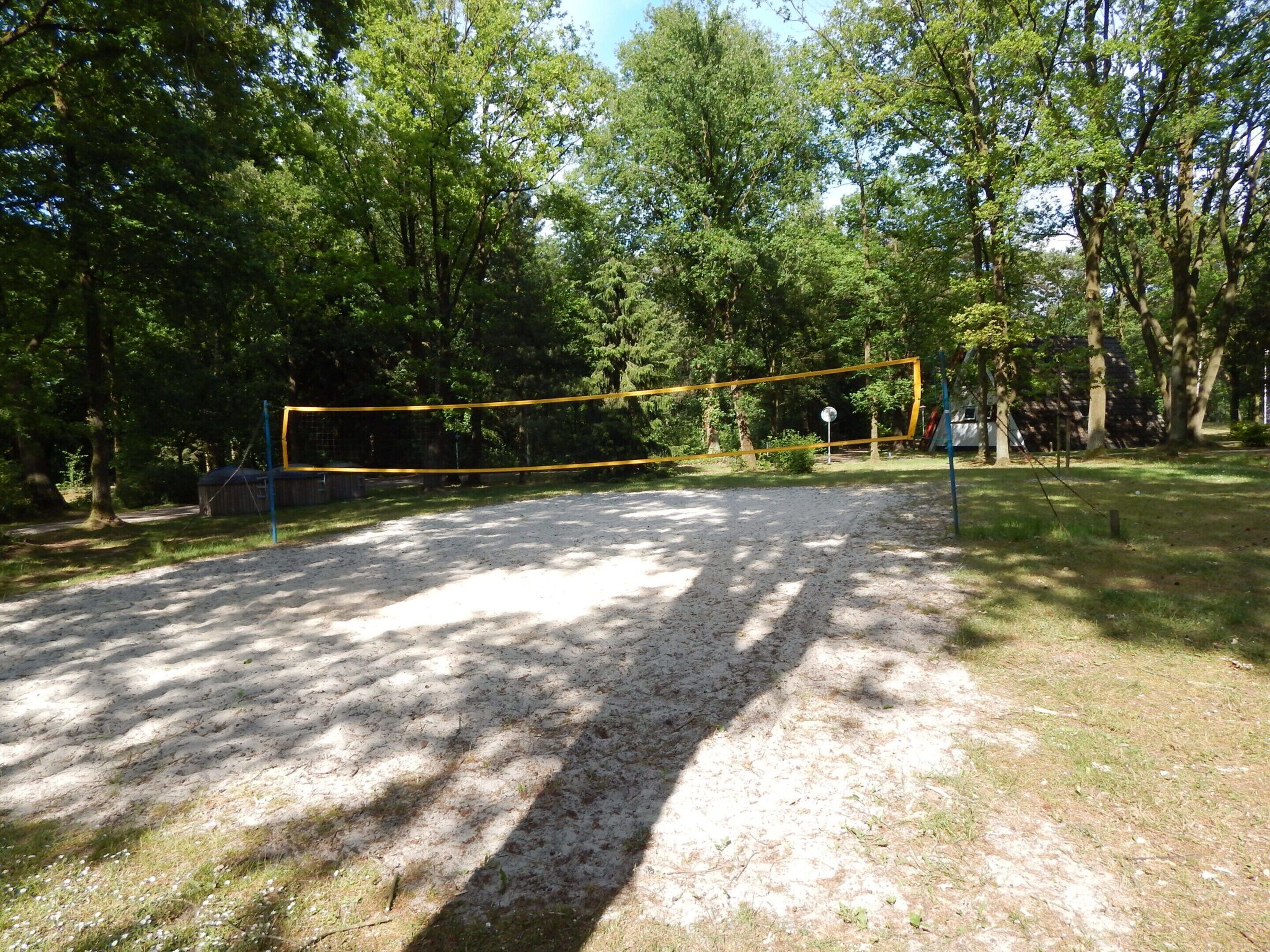 A volleyball court with a net, surrounded by trees and a grassy area.