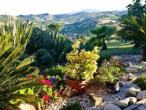 Exterior - Cypressa Modern Retreat (Montefiore dell'Aso)