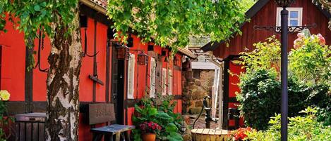 House | Property grounds