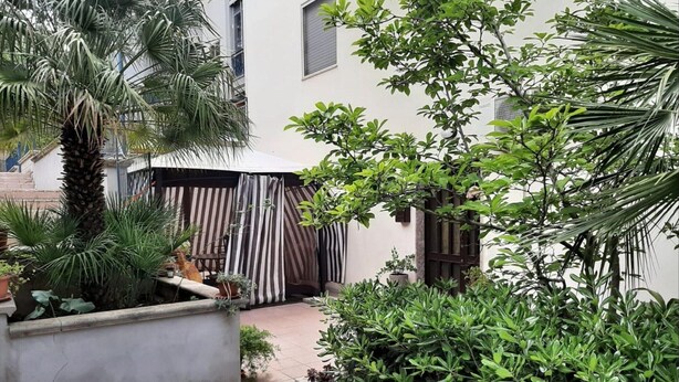 A courtyard with a palm tree, potted plants, and a striped awning. - Apartment in Matera Near Historic Center (Matera)