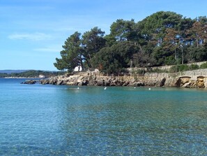 Une zone côtière avec un sentier pavé de pierres menant à une plage, entourée d’arbres et surplombée d’un ciel bleu clair.