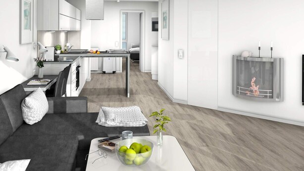 A modern apartment with a kitchen, dining area, and living room. - Holiday Home in Wendtorf (Wendtorf)