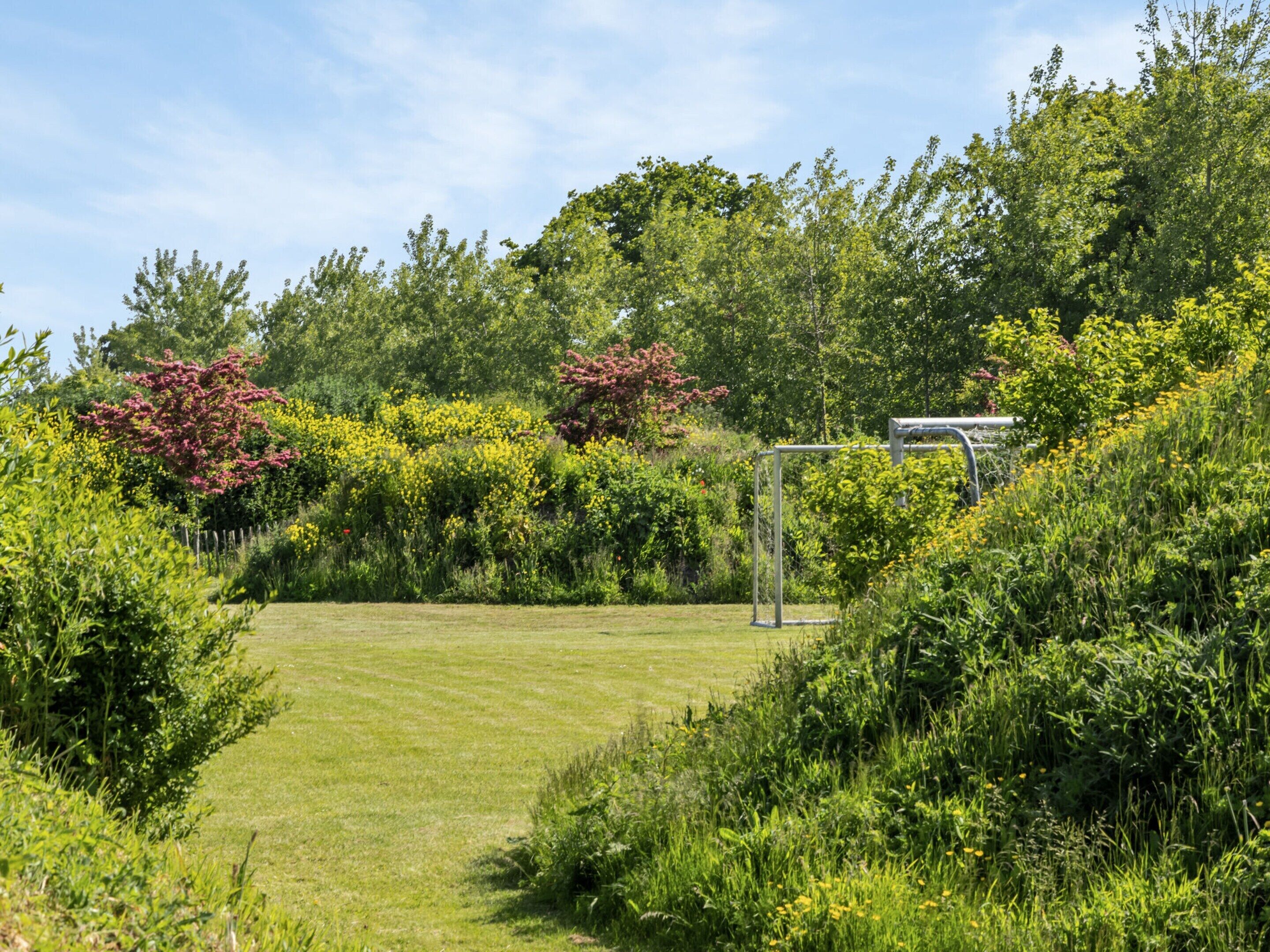 A garden with a grassy lawn, a metal pergola, and various flowering plants.