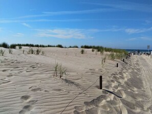海灘