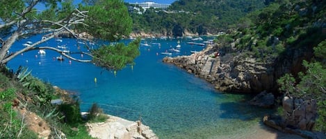 Tent | View from property