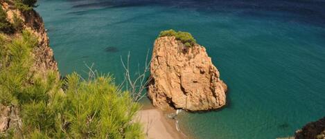 الإطلالة من المنشأة