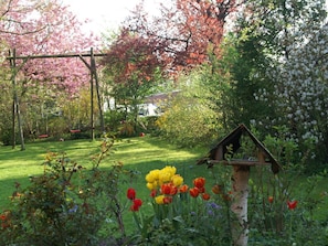 Property grounds - 1 in the Maassen Country House (Stakendorf)
