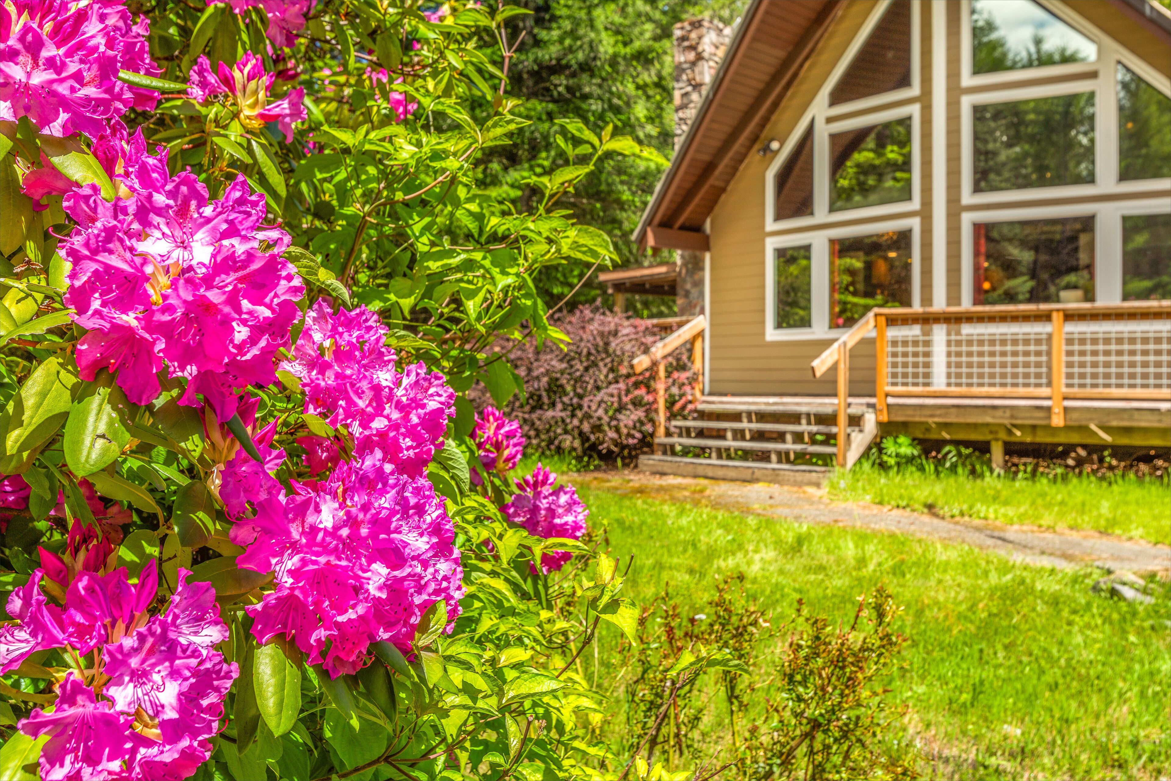 NEW: Cottonwood Chalet - Great Getaway near Mount Rainier