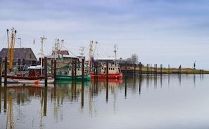 Een rustige haven met verschillende vissersboten afgemeerd.