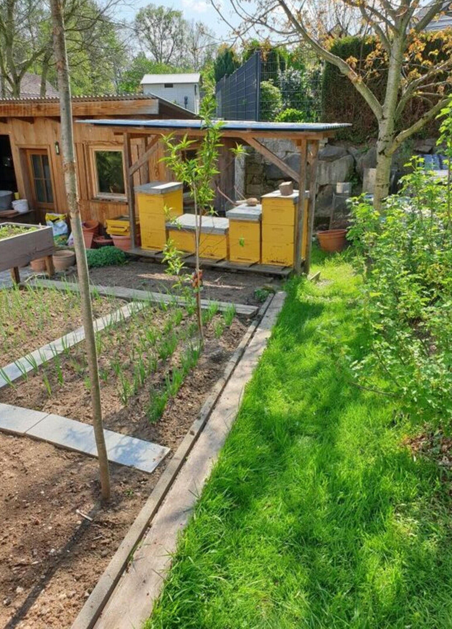 A garden with raised beds, a wooden structure, and beehives.