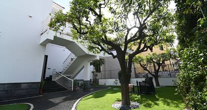 Slopes Suites and Spa