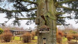 Ferienhaus | Außenbereich