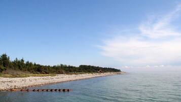 A beach with a clear sky, calm water, and a forested area in the background.