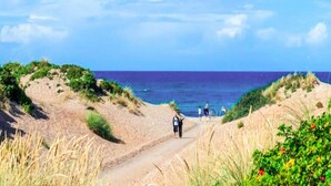 A coastal path with dunes and vegetation, leading to the sea. - 5 Person Holiday Home in Melby (Melby)