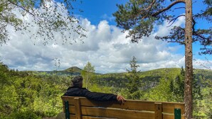 A man sitting on a wooden bench overlooking a forested landscape with hills in the distance.