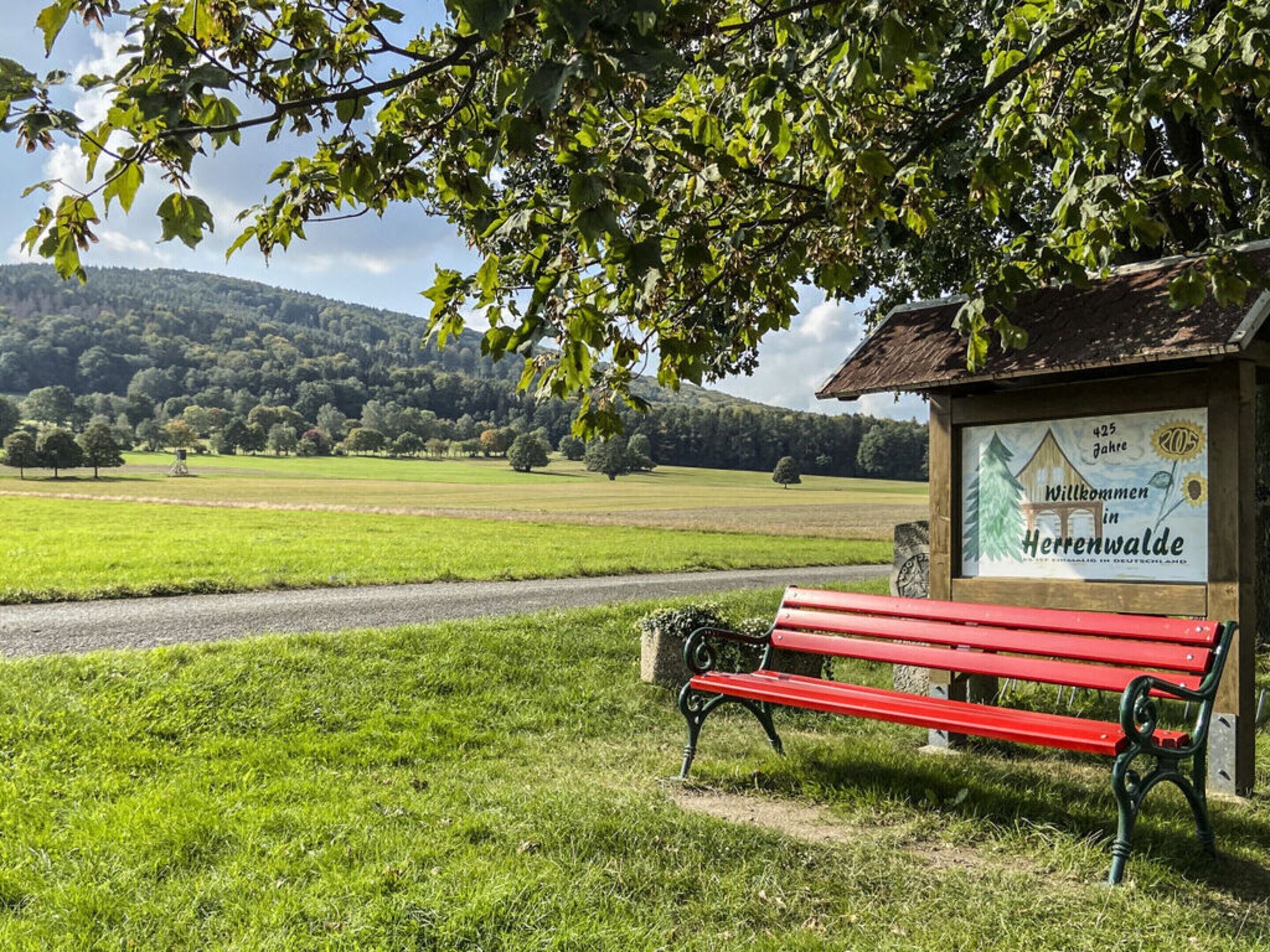 A bench in a park with a signboard in the background.