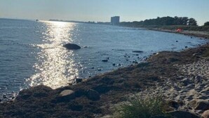A beach with a clear sky, sunlight reflecting on the water, and rocks in the foreground.