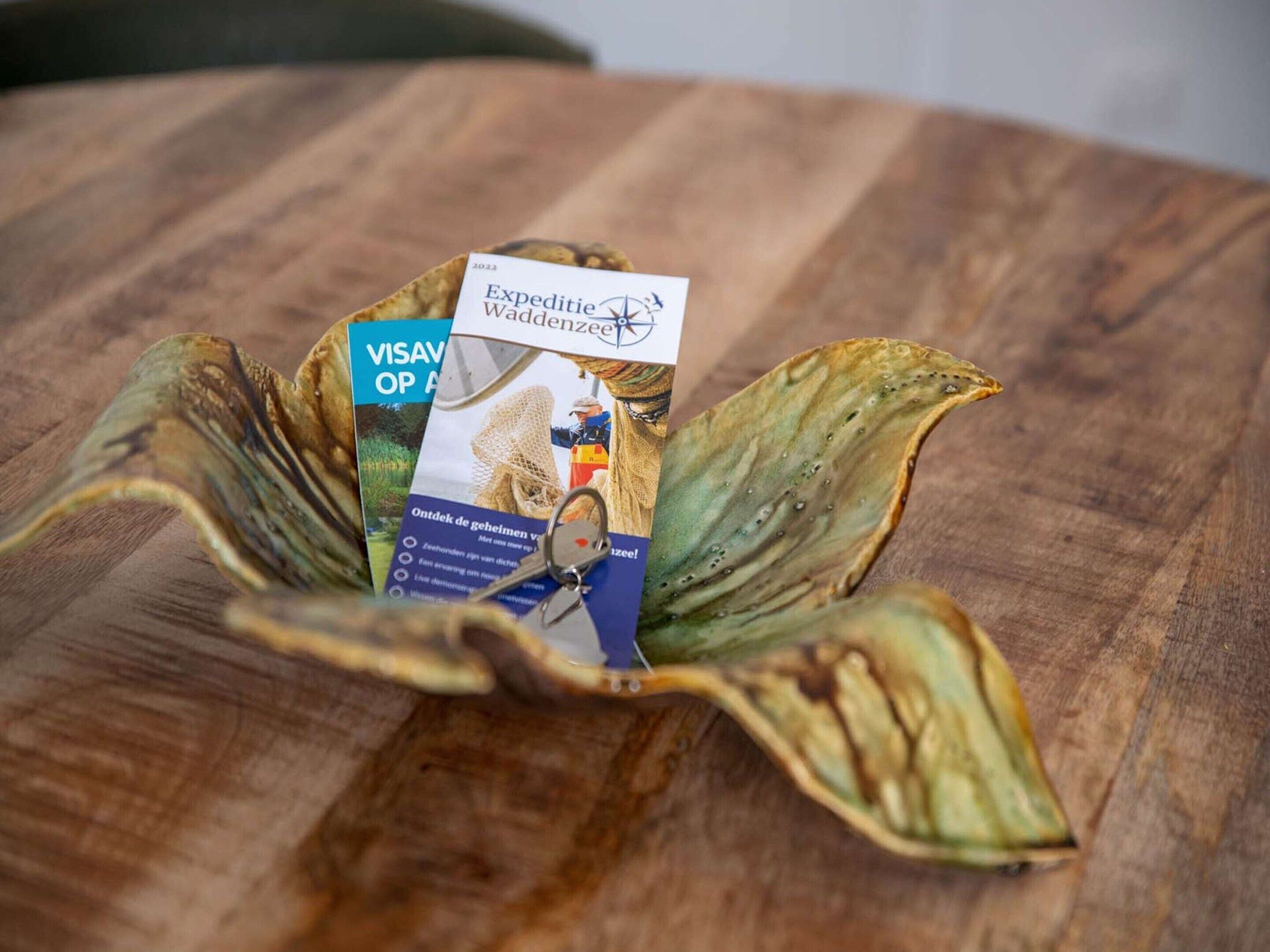 A brochure titled "Expeditie Waddenezee" placed on a wooden surface.