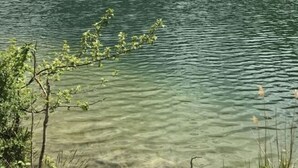 รูปภาพที่ไม่ได้จัดประเภท, 5 จาก 15, ปุ่ม