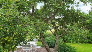 A garden with a table and chairs under a tree with fruit. - 4 Star Holiday Home in Brastad (Brastad)
