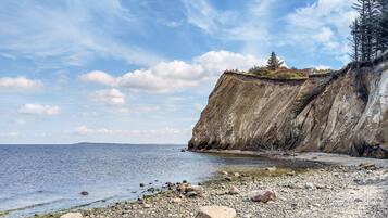 A rocky shoreline with a cliff and a tree on top, overlooking a calm body of water.