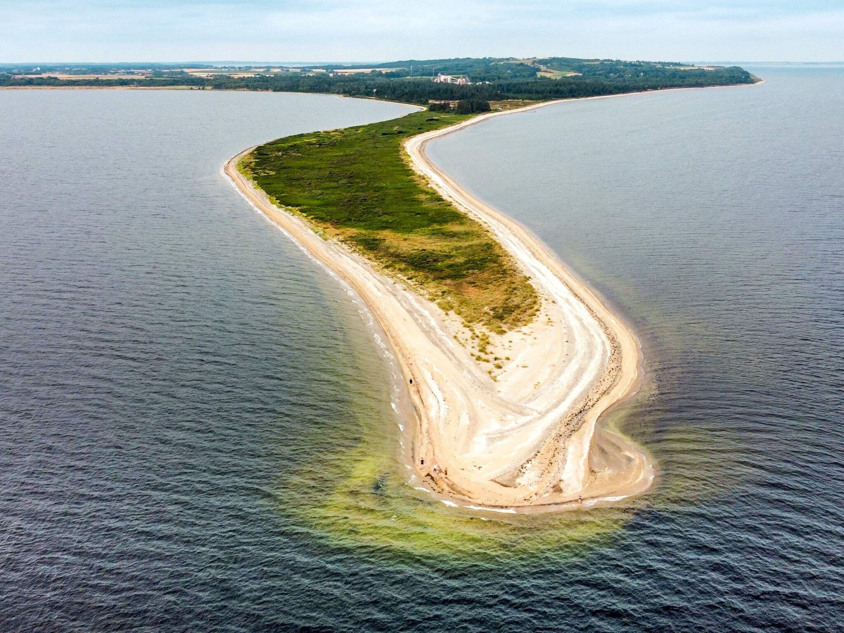 Vue aérienne d’une côte sinueuse, avec une plage de sable et une petite île verdoyante.