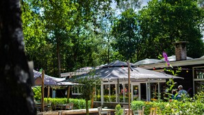 An outdoor seating area with tables and chairs, surrounded by greenery and trees. - Chalet w/ Garden & Views (Hoenderloo)