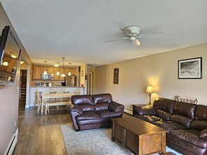 TV, fireplace, DVD player