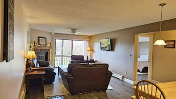 電視、壁爐、DVD 播放機