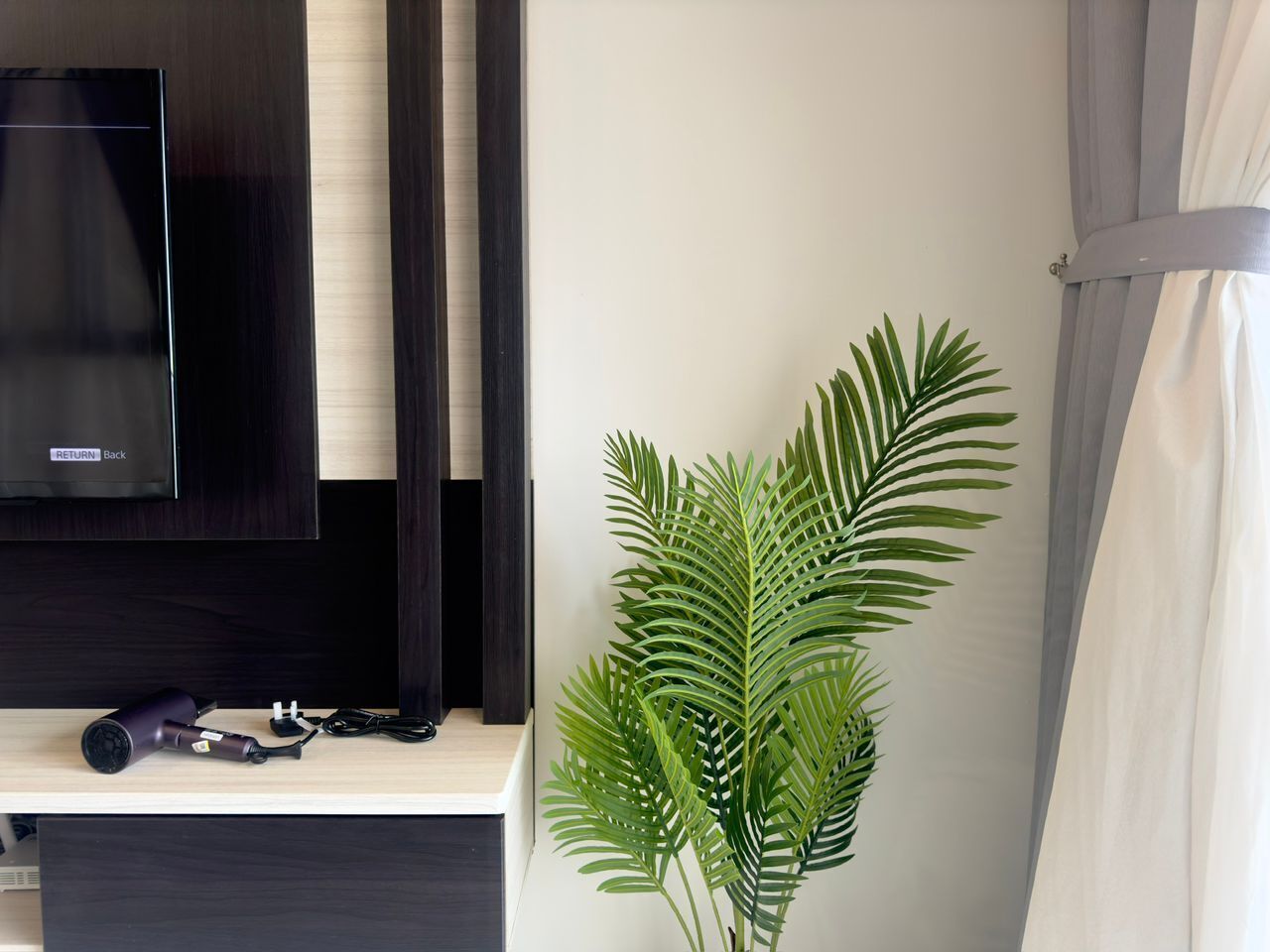 A room with a flat-screen TV mounted on a dark wooden wall, a small table with a hairdryer and charger, and a large green plant.
